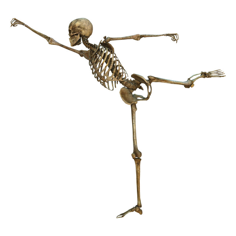 滑冰姿势的人体骨骼