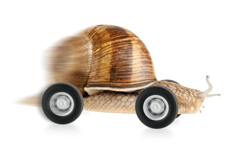 车轮上的蜗牛