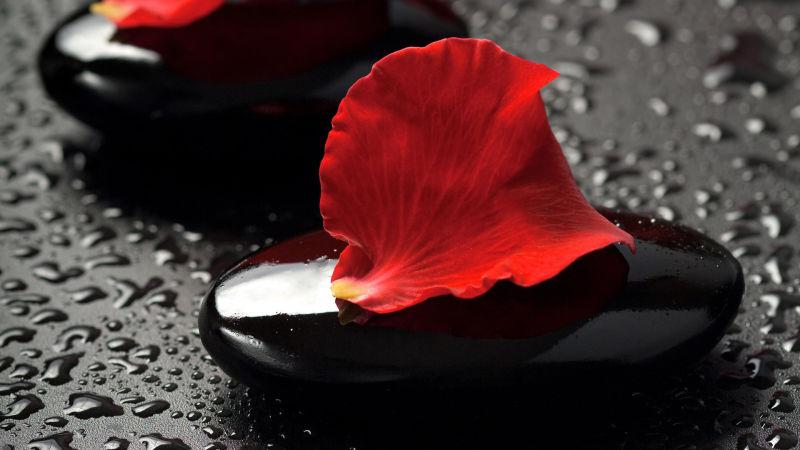 黑色的鹅卵石和红色花瓣