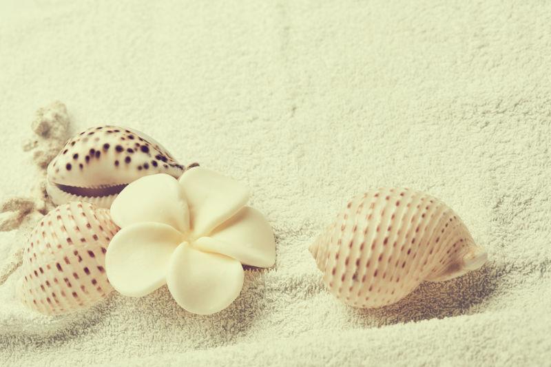 毛巾上的水疗spa花朵和贝壳
