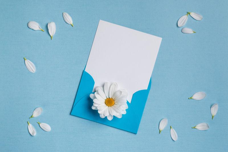 单色背景上的卡片与花瓣花朵