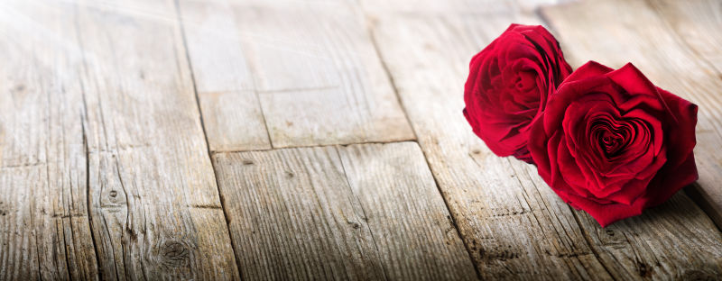 阳光下木板上的两朵玫瑰