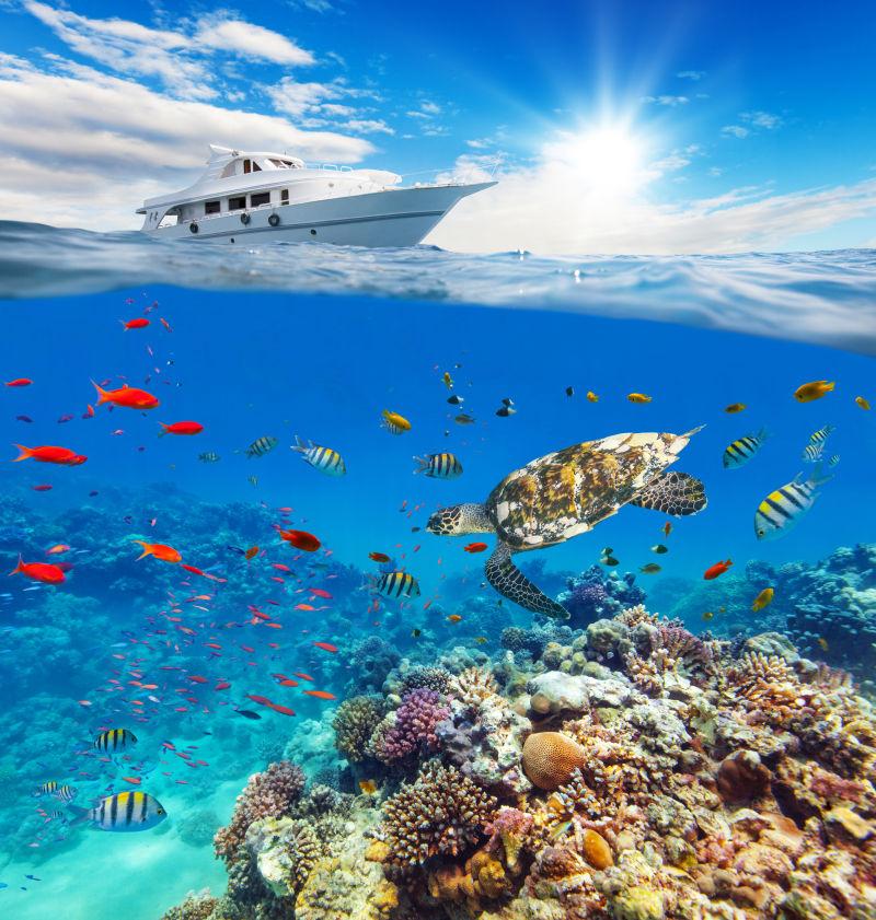 热带岛屿水下的海底世界