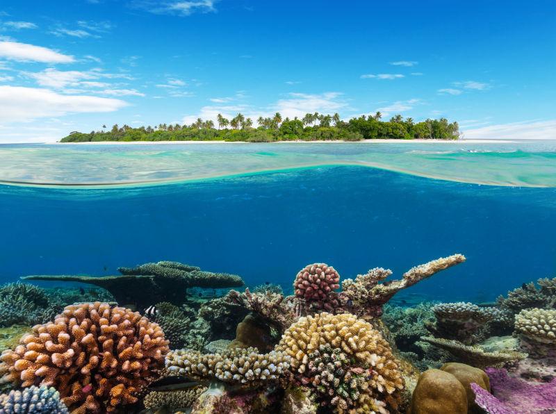 热带岛屿水下珊瑚礁
