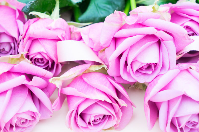 白色桌上的紫色的玫瑰花