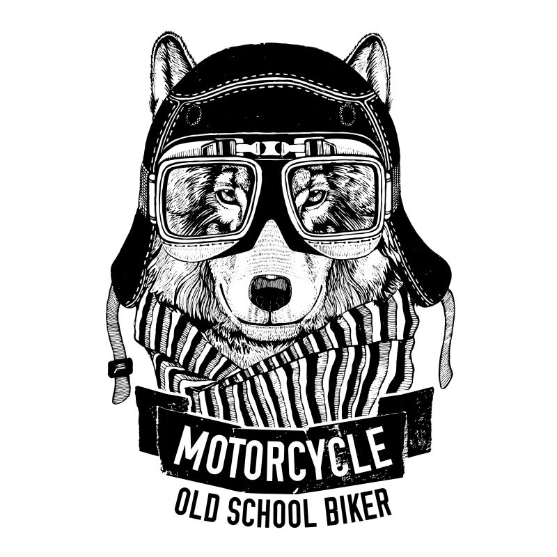 骑摩托车的带头盔的野狼