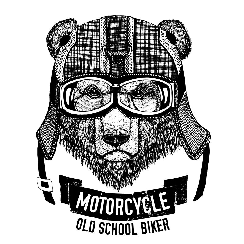 摩托车带着头盔的熊