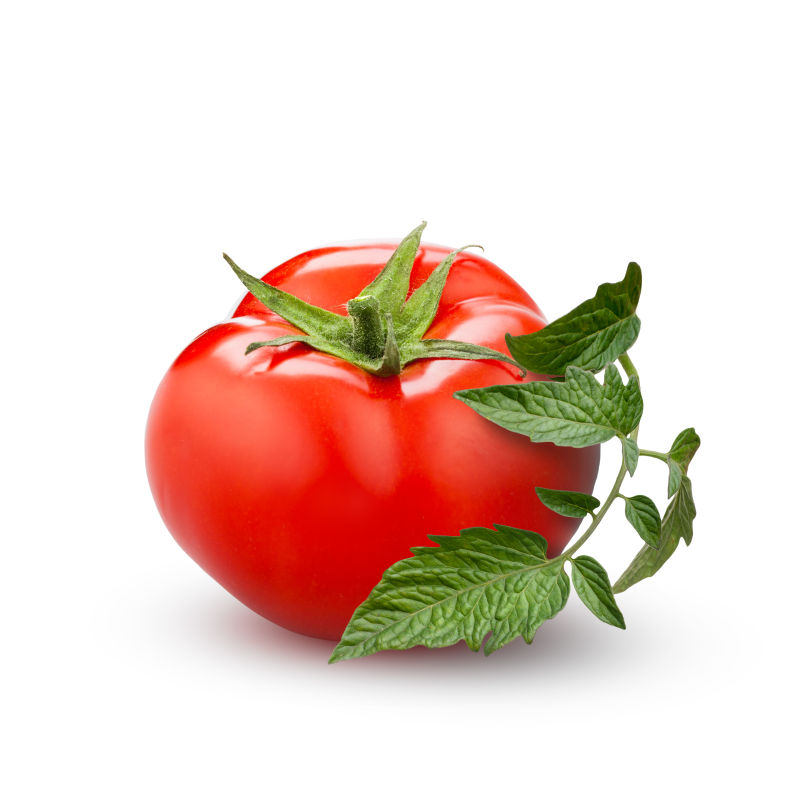 白色背景下新鲜健康的西红柿