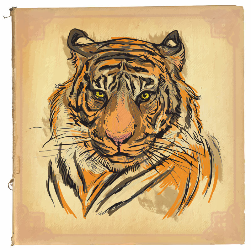 抽象矢量手绘老虎插图