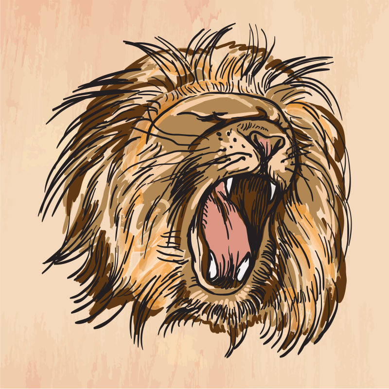 矢量吼叫的狮子手绘插图