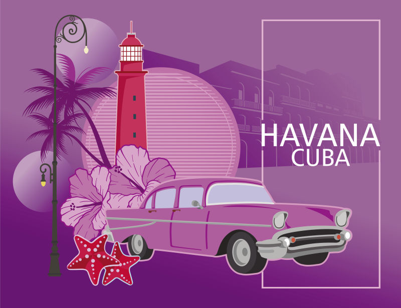 粉色的古巴哈瓦那插图矢量设计