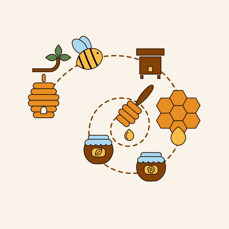 矢量抽象蜂蜜生产线的平面插图设计