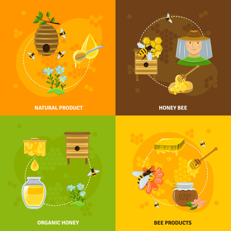 蜂蜜采集概念矢量插图