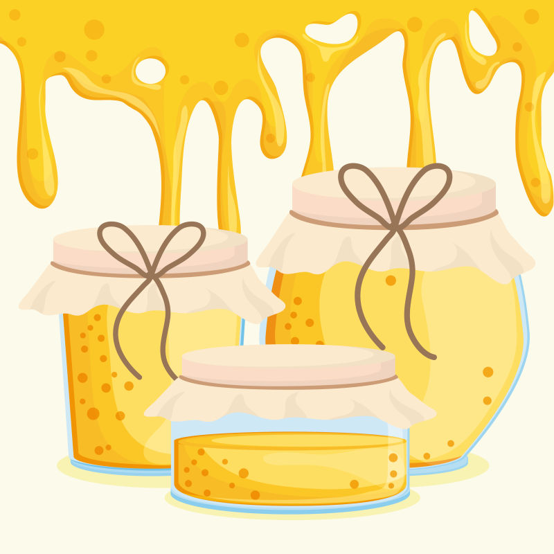创意矢量三种瓶中的蜂蜜插图