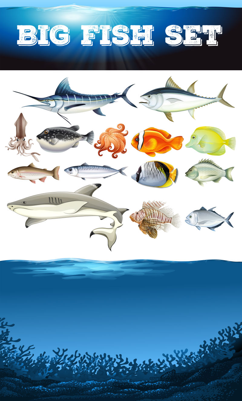 创意矢量卡通鱼类和海底插图