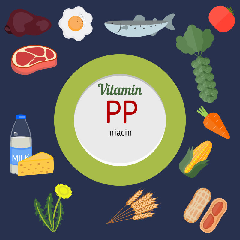 富含维生素PP的食物矢量插图