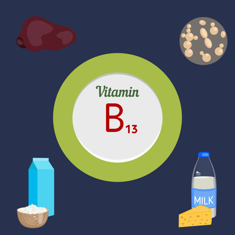 富含维生素B13的食品矢量插图