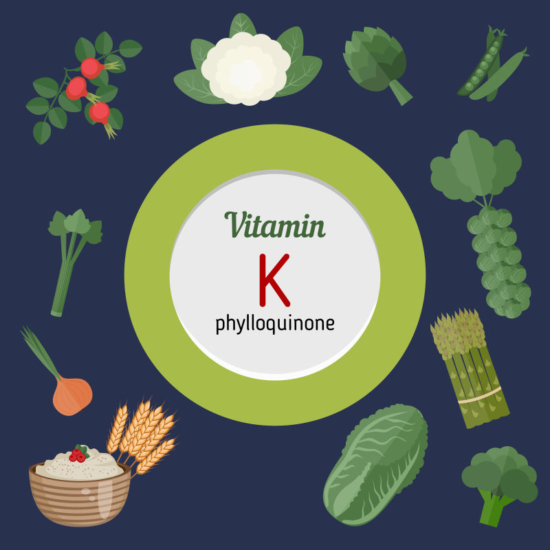 富含维生素K的食物矢量插图
