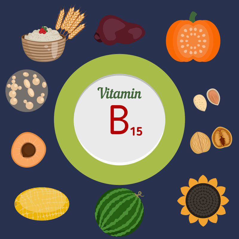富含维生素B15的食品矢量插图