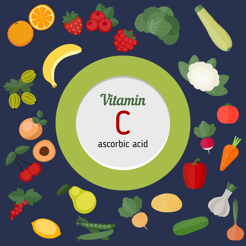 富含维生素C的食物矢量插图