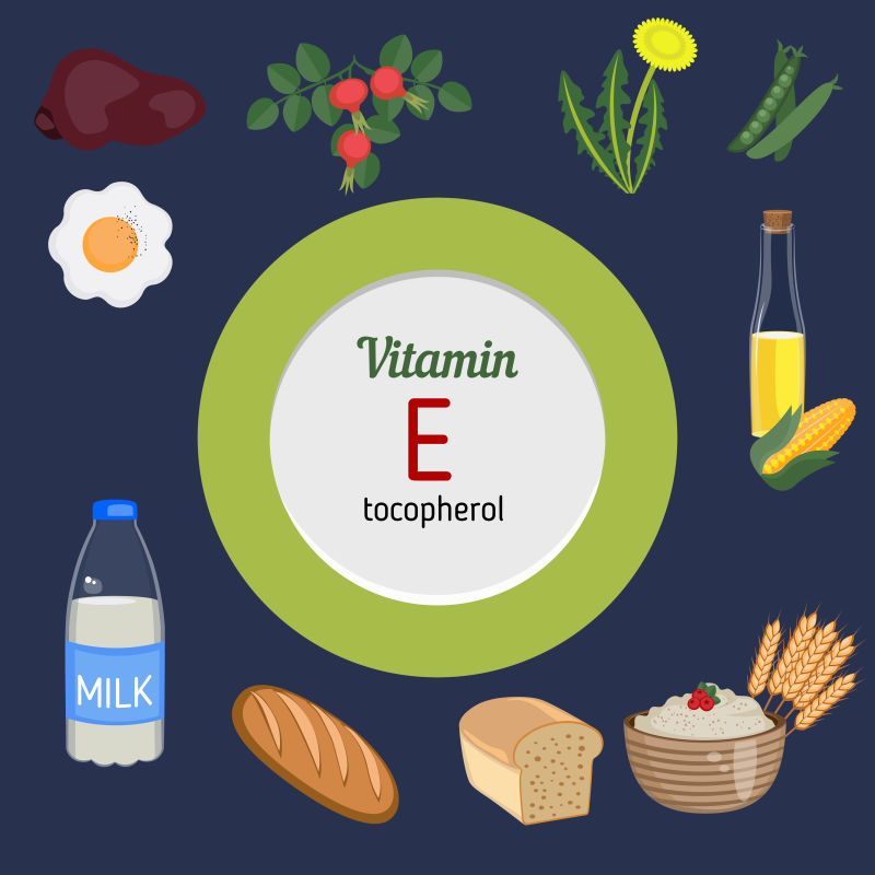 富含维生素E的食物矢量插图
