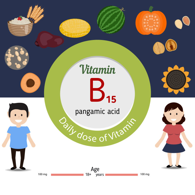 富含维生素B15的食品矢量设计