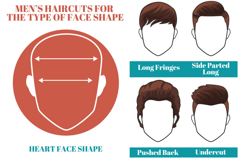 不同类型的发型矢量插图