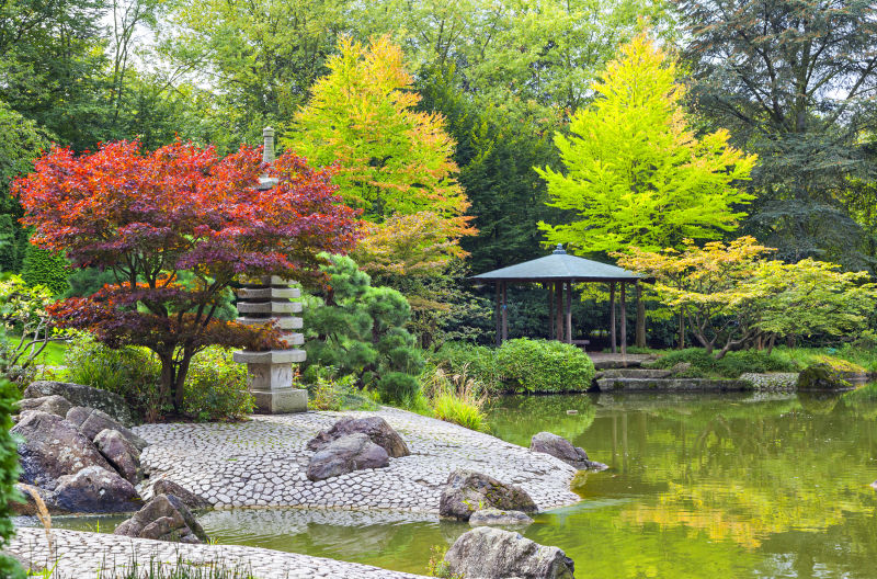 日本花园池塘风景