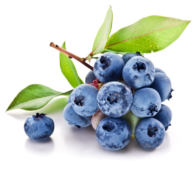 成熟的蓝莓水果