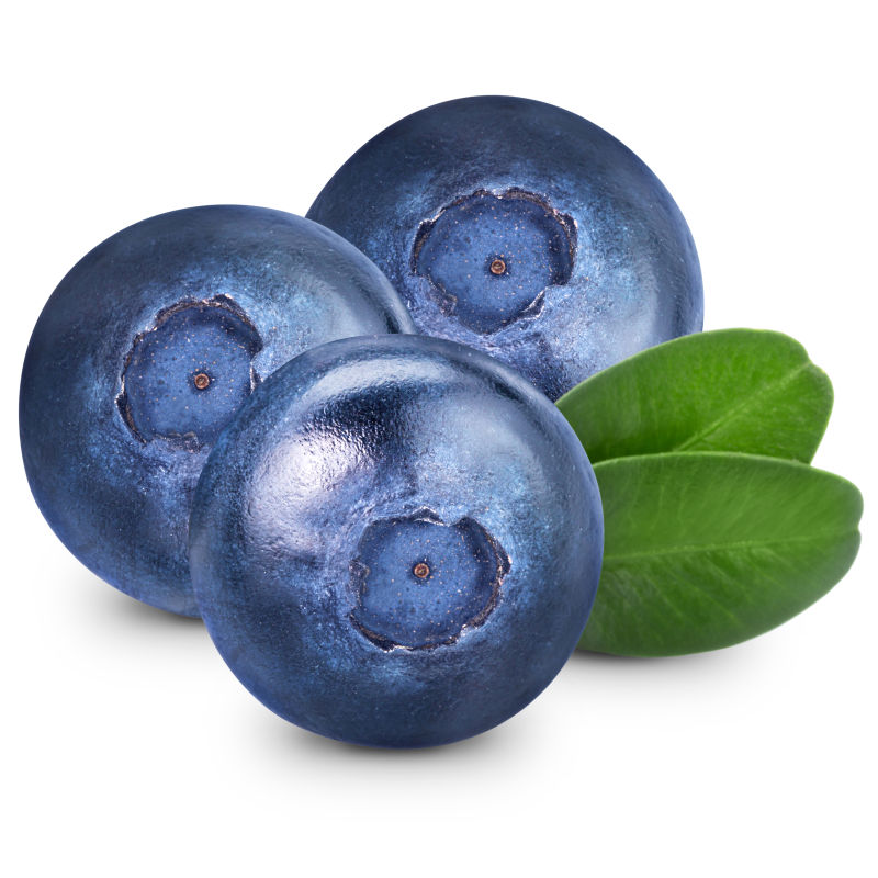 白色背景中的三颗蓝莓