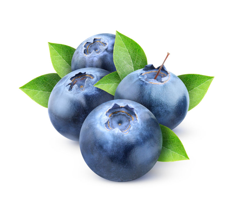四个新鲜蓝莓果实