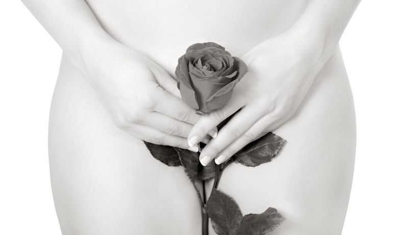 美女与玫瑰