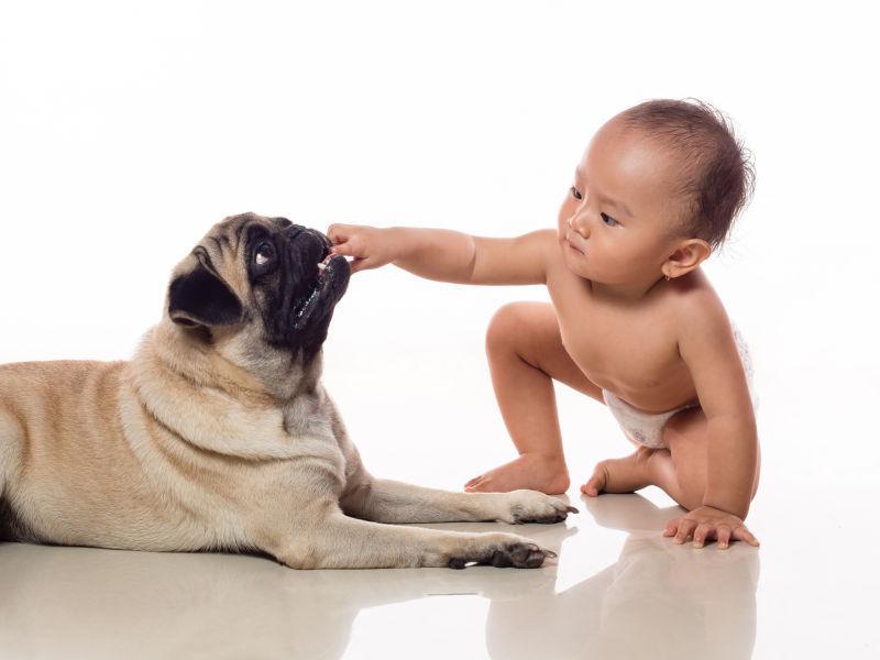 婴儿和狗狗玩耍