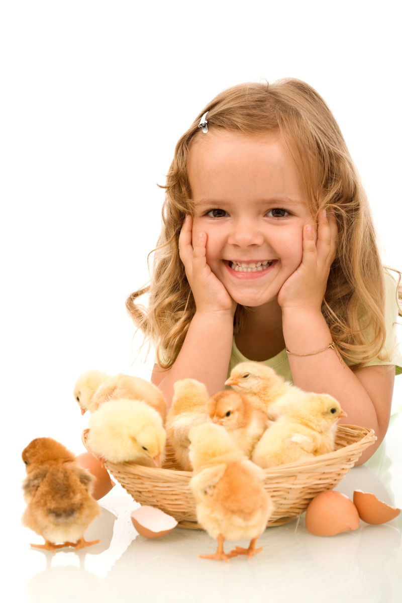 可爱的小女孩与小鸡