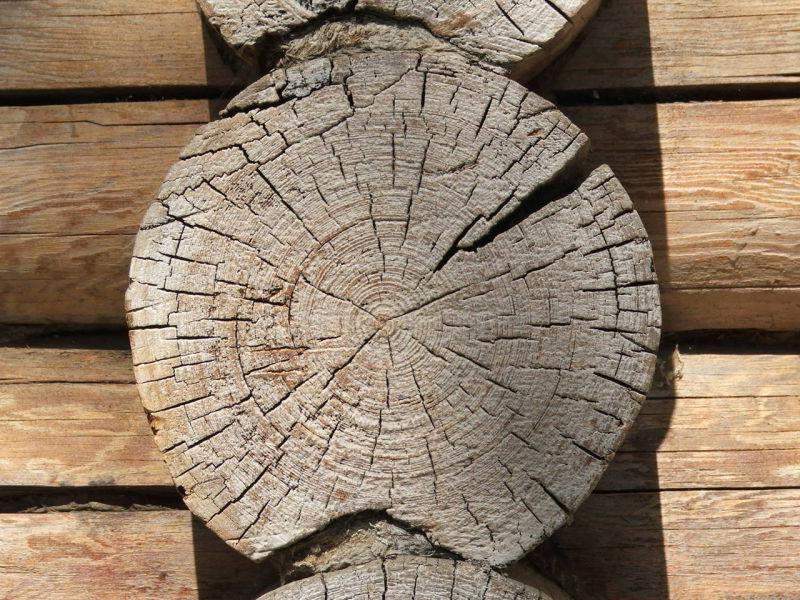 旧木材表面
