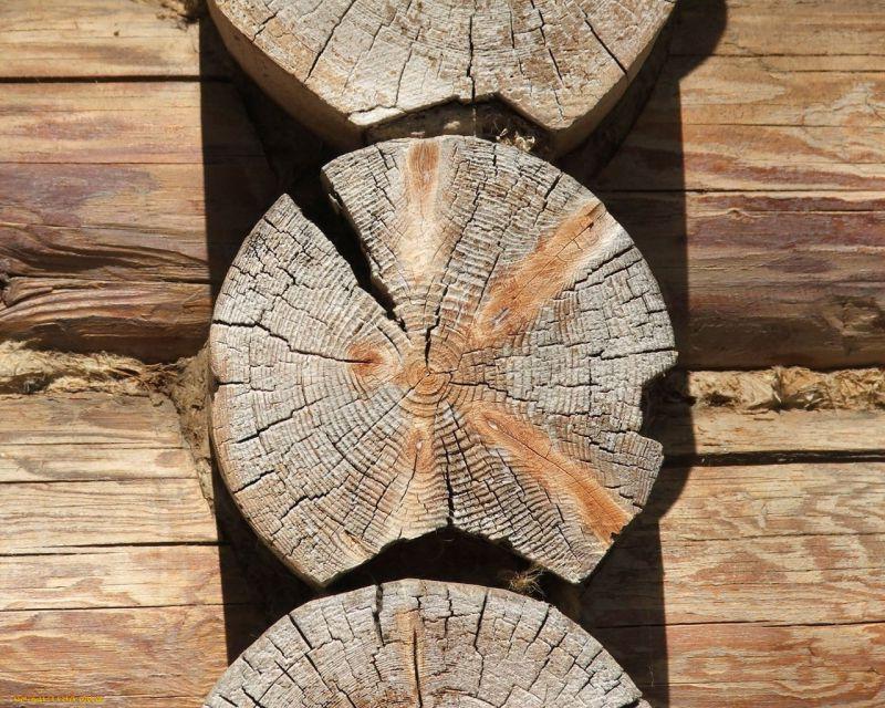 旧木材上的裂纹