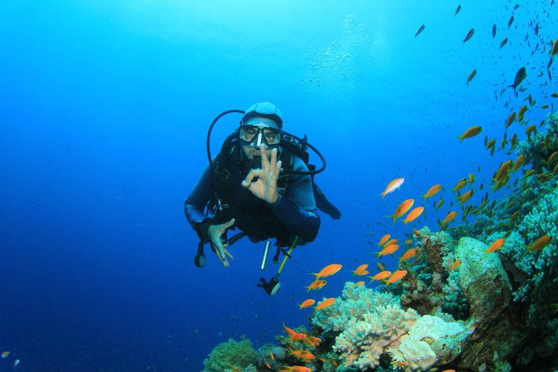 潜水员探索珊瑚礁发出手势