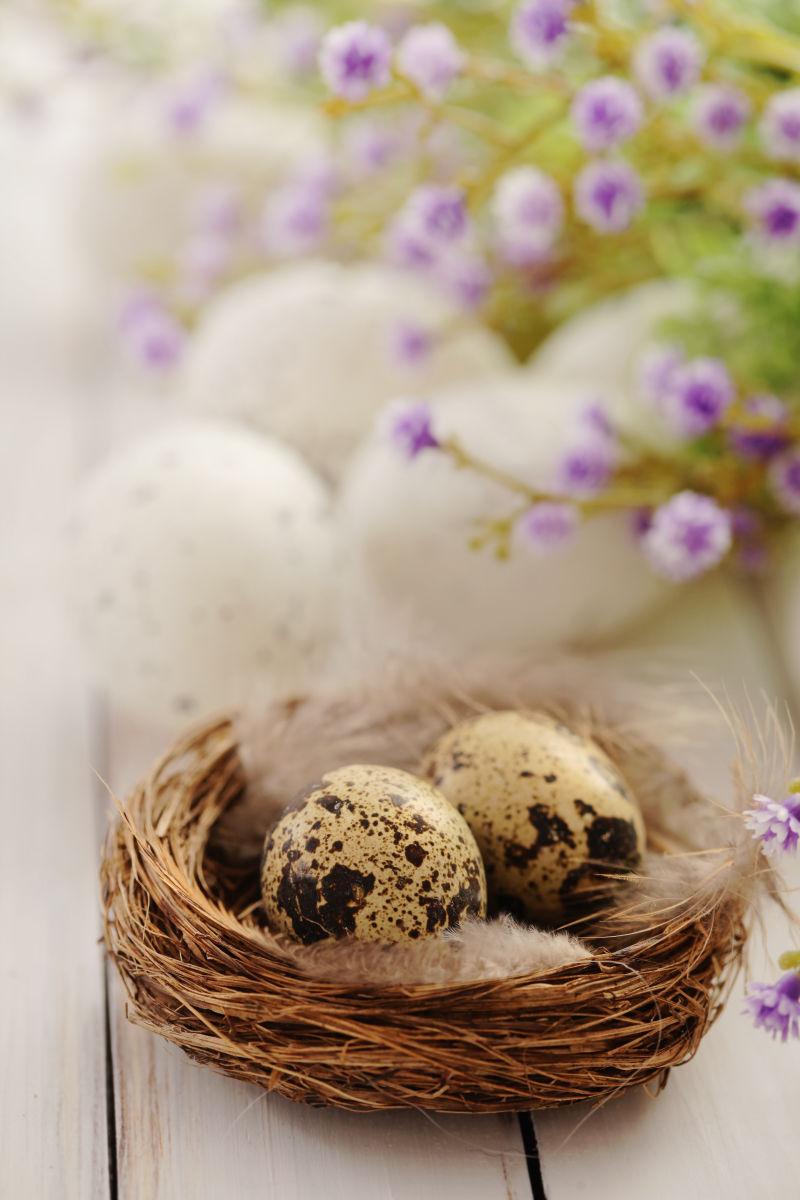 复活节彩蛋模糊背景中的鹌鹑蛋