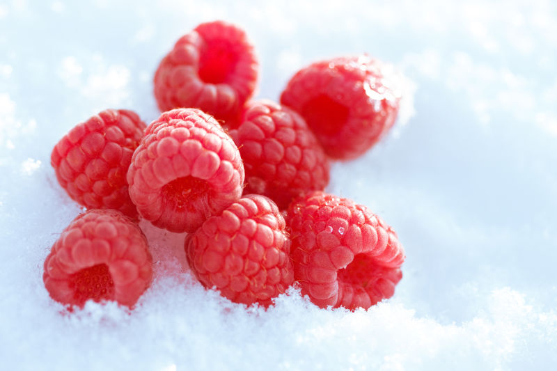 在雪地里的树莓