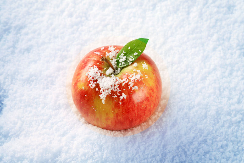 雪中苹果