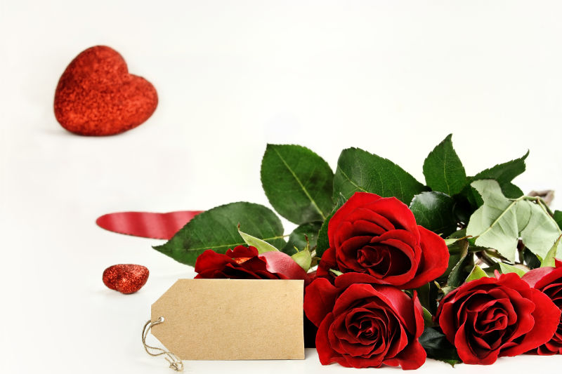 情人节玫瑰与空白卡片