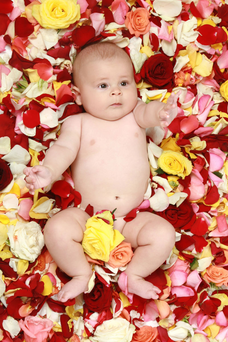 躺在花瓣中的婴儿