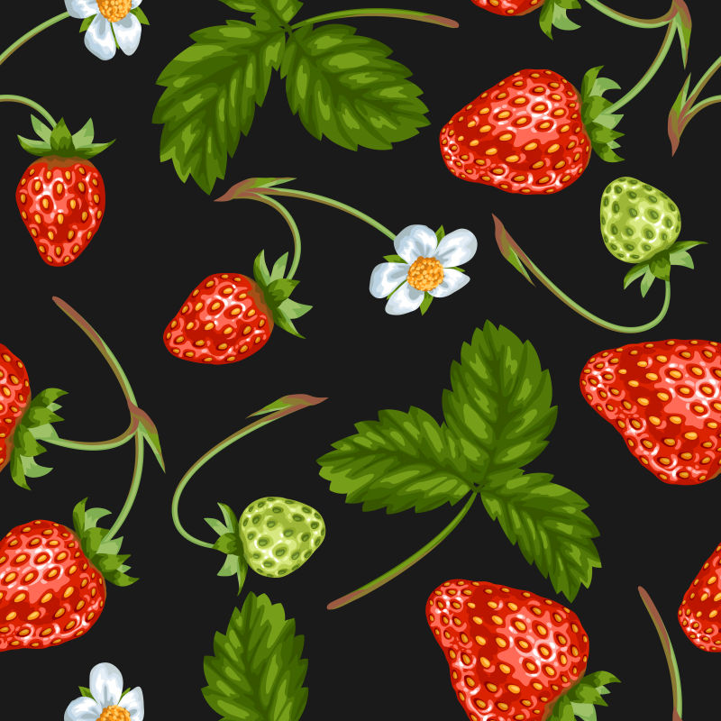 红色的草莓插图矢量设计