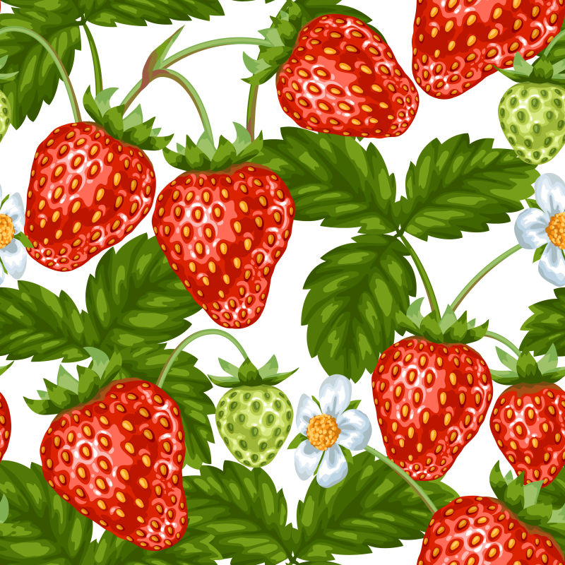 矢量的草莓插图设计