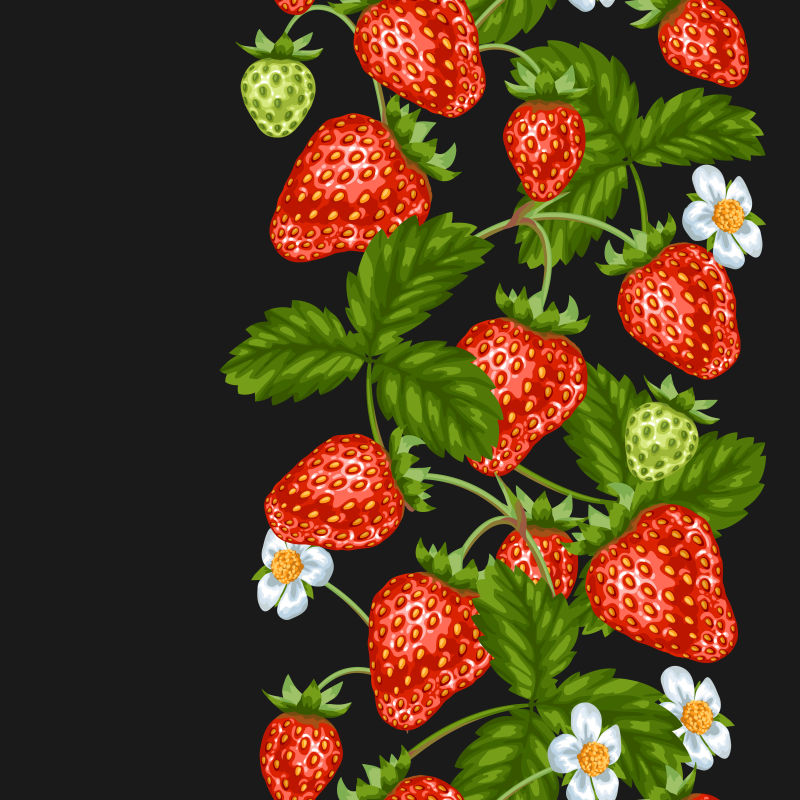 矢量的红色草莓插图设计