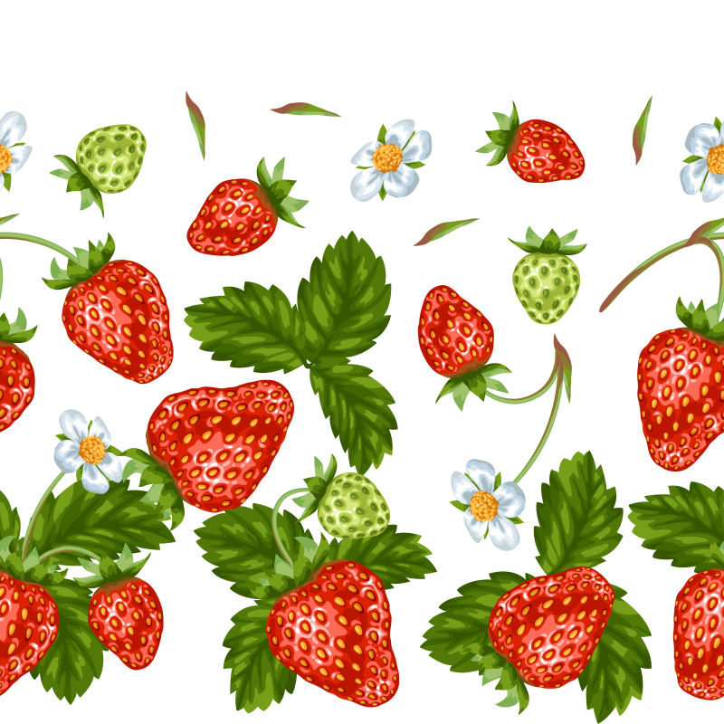 红色草莓矢量插图
