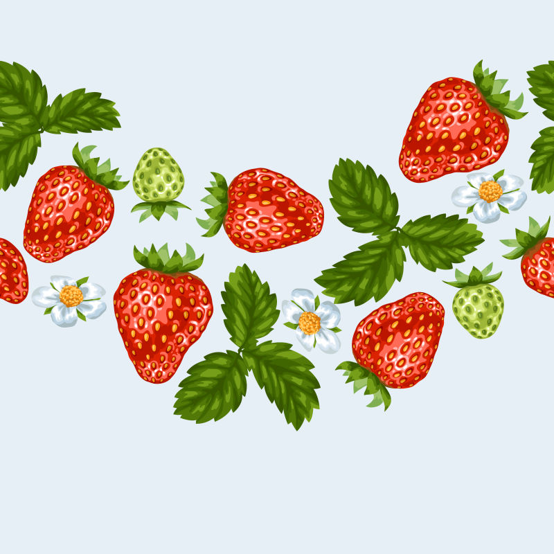 矢量红色草莓插图设计