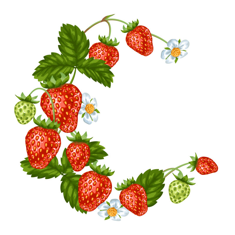 草莓边框矢量设计