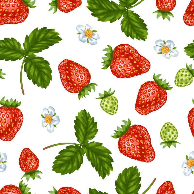 矢量的草莓插图