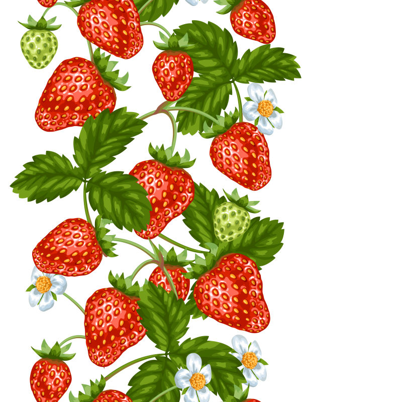 草莓插图矢量设计